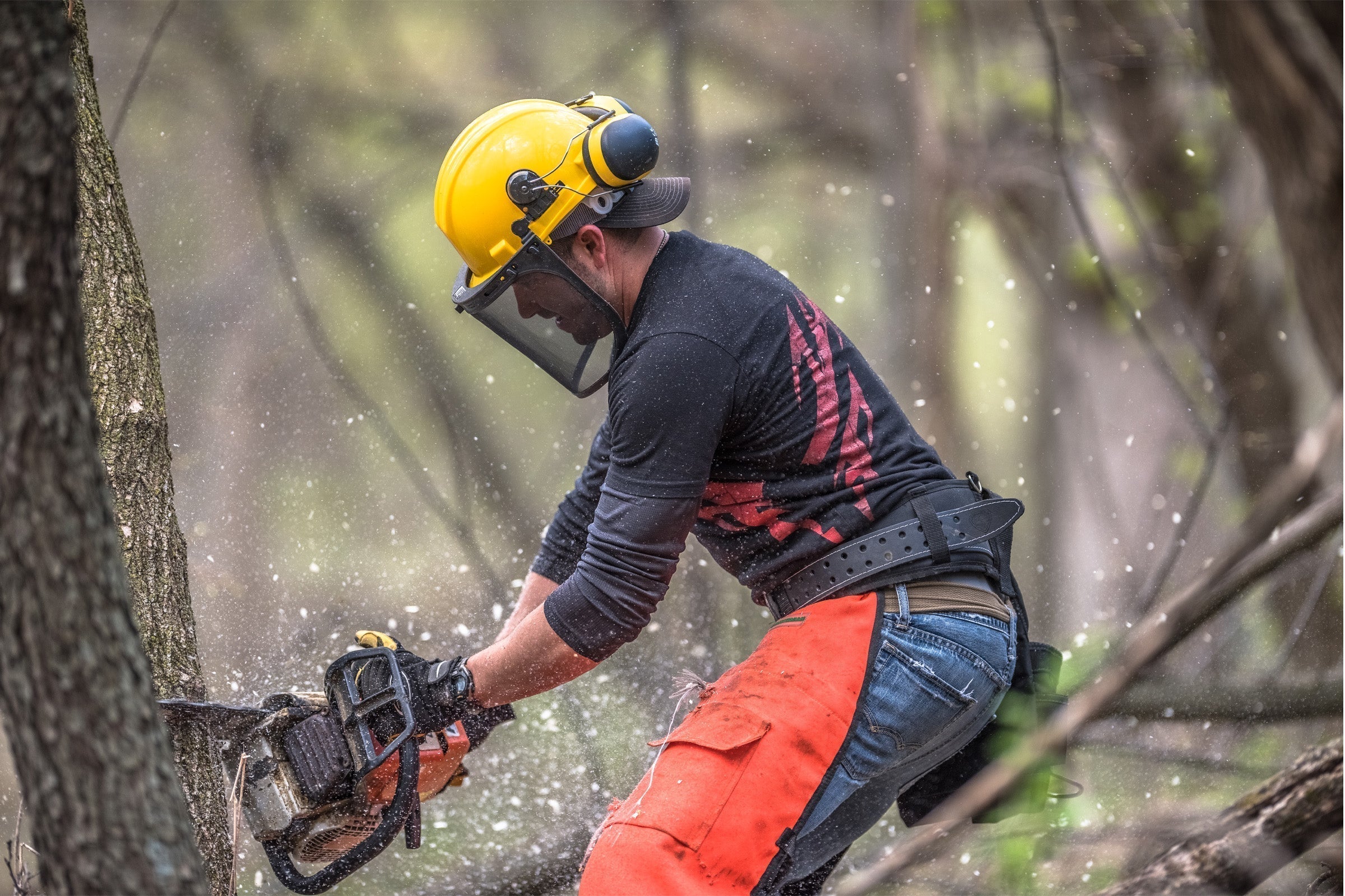 Make the Most of Spring: Smart Moves for Fall Whitetails