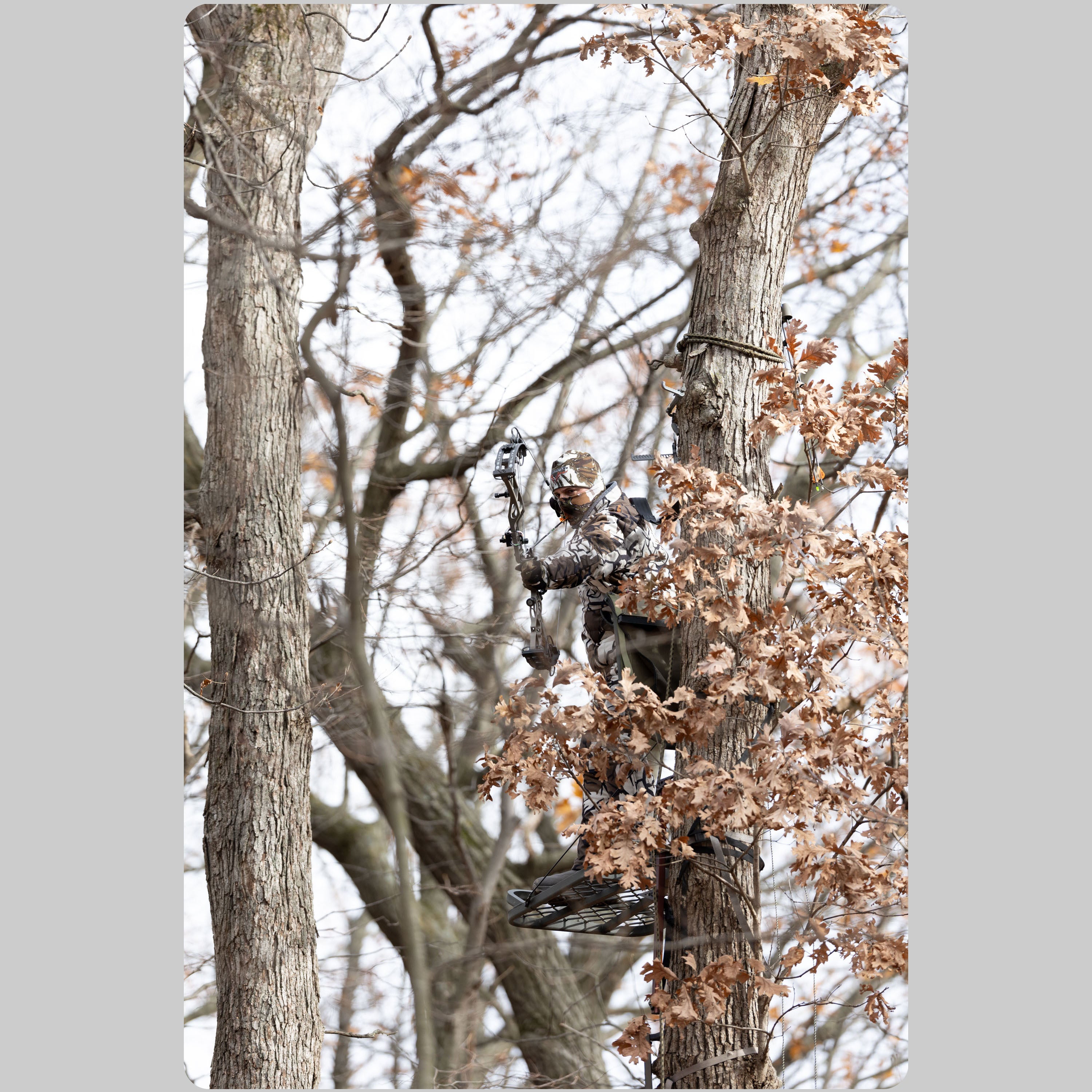 Predator Camo - Lifestyle Ambush Jacket - #color_fall-gray